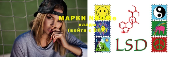 крисы Алзамай