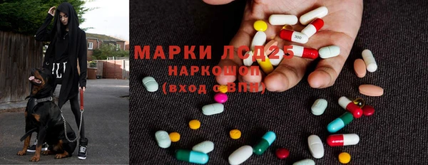 крисы Алзамай