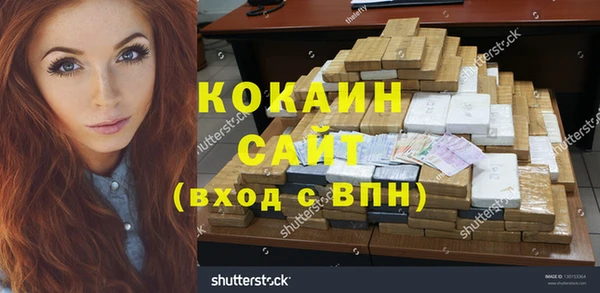 крисы Алзамай