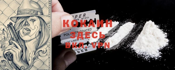 крисы Алзамай