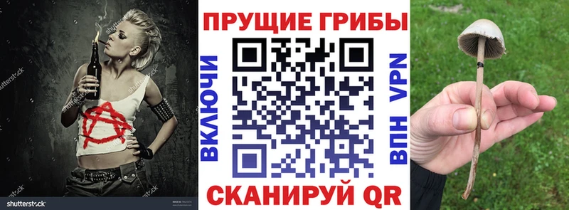 даркнет состав  Краснообск  Псилоцибиновые грибы мицелий 